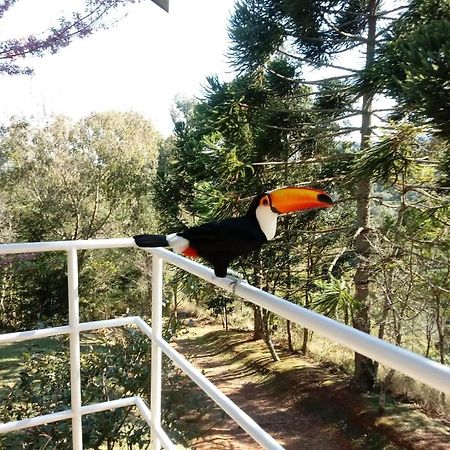 Отель Abrigo Da Reserva Санту-Антониу-ду-Пиньял Экстерьер фото